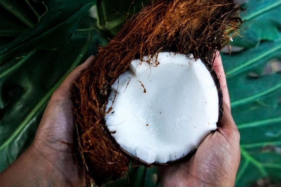 Ein Mann hält eine Kokosnuss