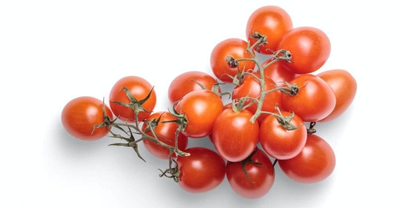 Tomaten